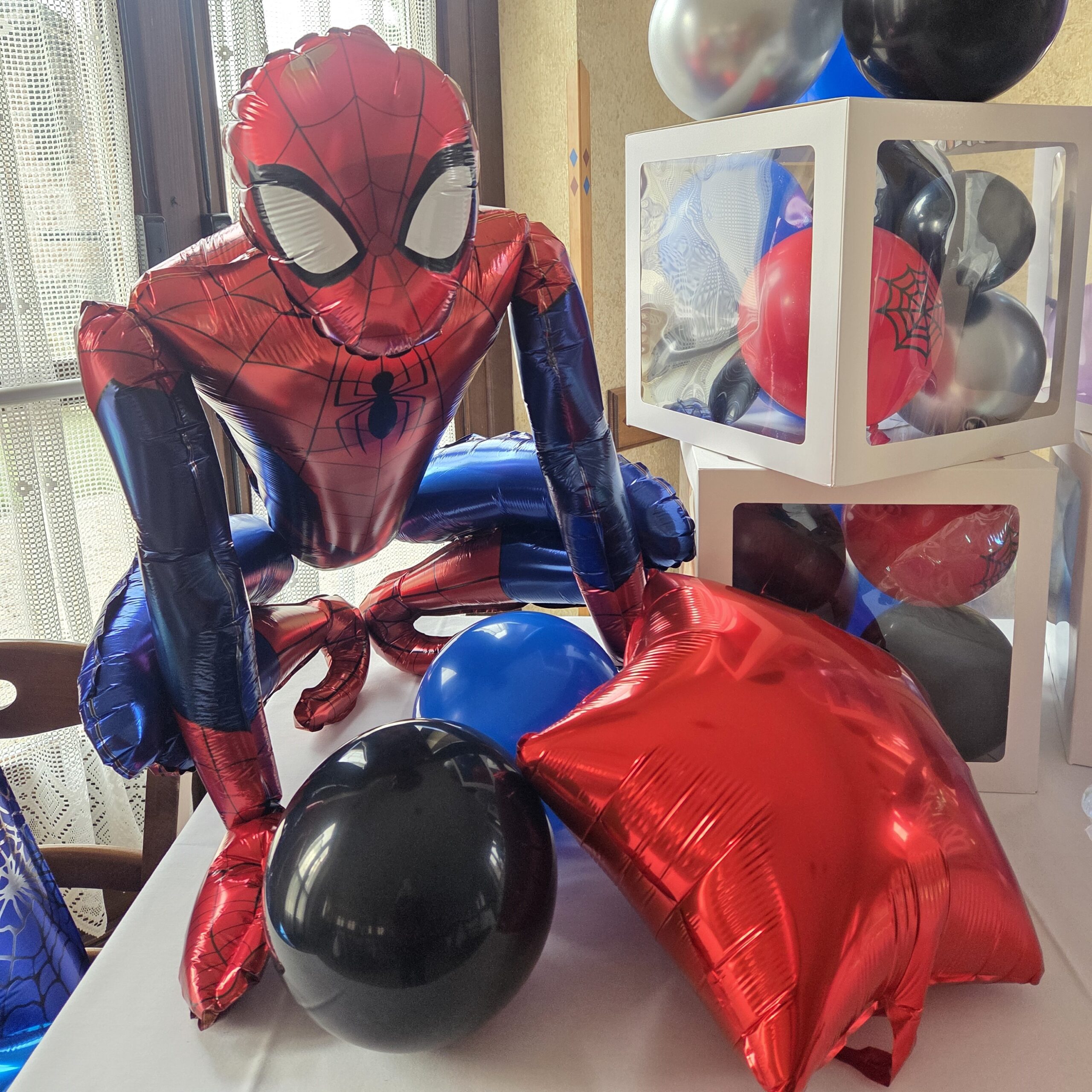 Festa-Compleanno-Bambini-Gemelli-Elsa-Frozen-Spiderman-Event-Planner-Roberta-Cenci-Cuneo-Asti-Alessandria (3)