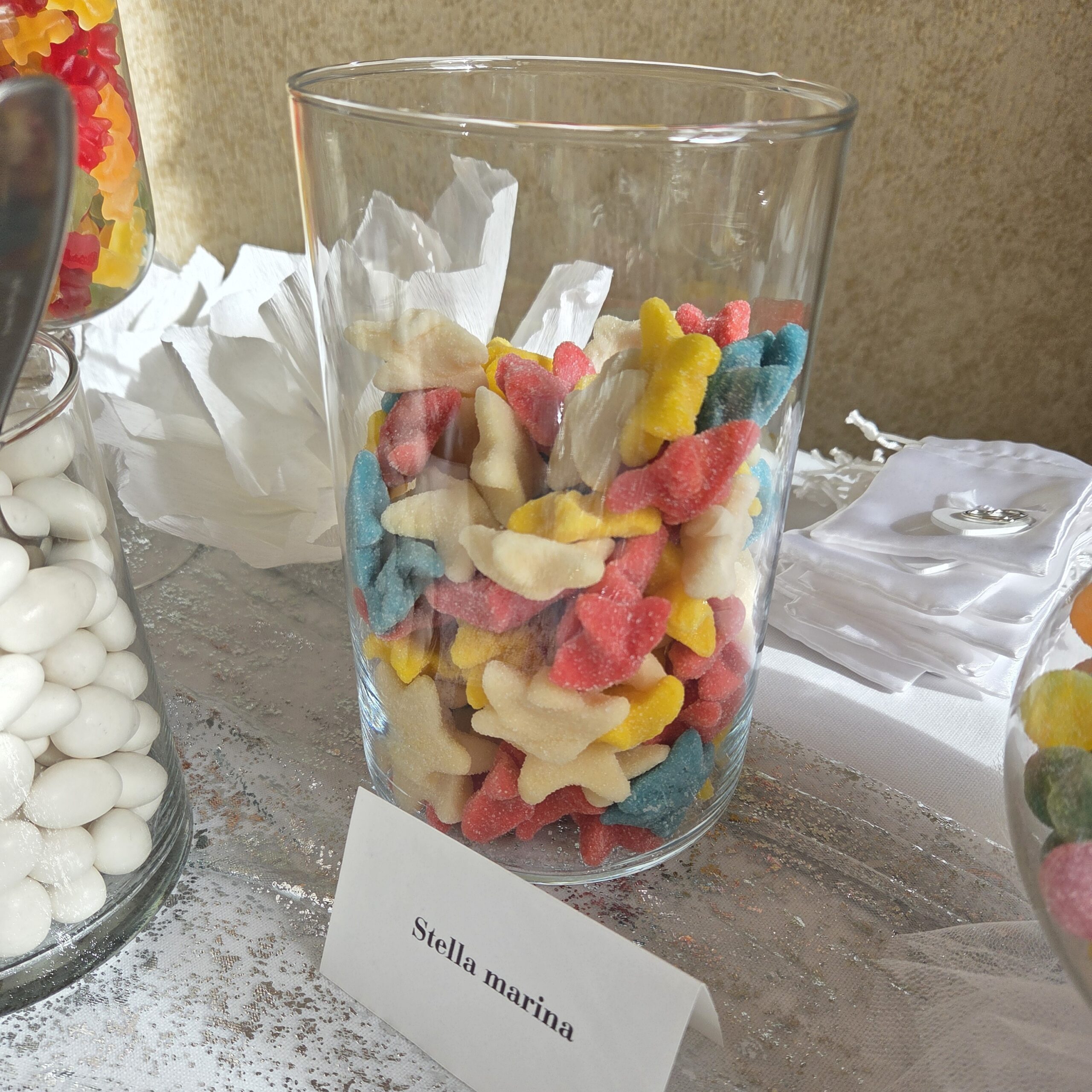 Anniversario-Di-Matrimonio-60-Anni-Wedding-Event-Plammer-Ispirazioni-E-Stili-Roberta-Cenci-Cortemilia-Cuneo-Alessandria-Savona-Asti (2)